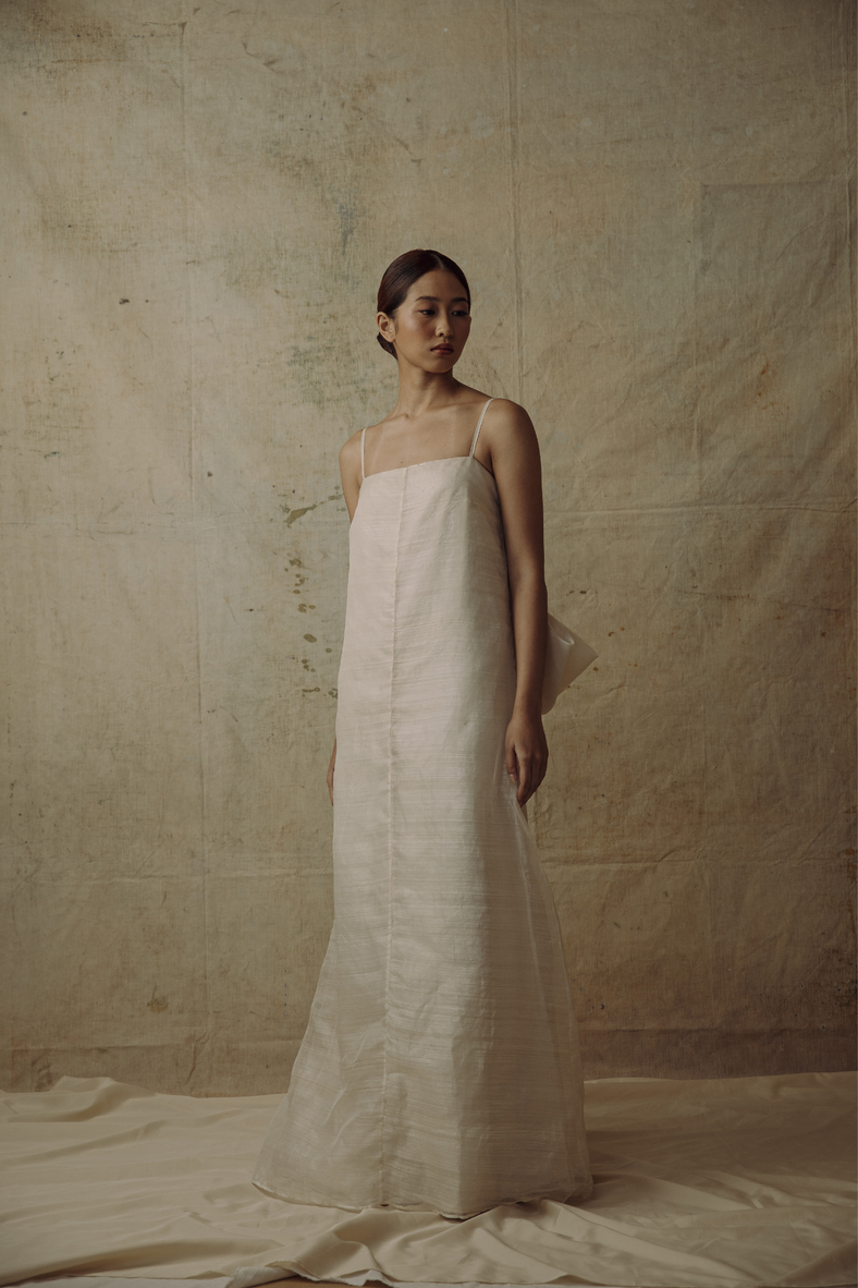 The Sari Dress