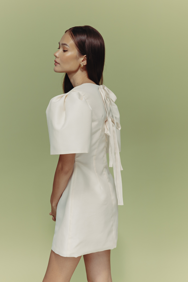 The Camisa Mini Dress
